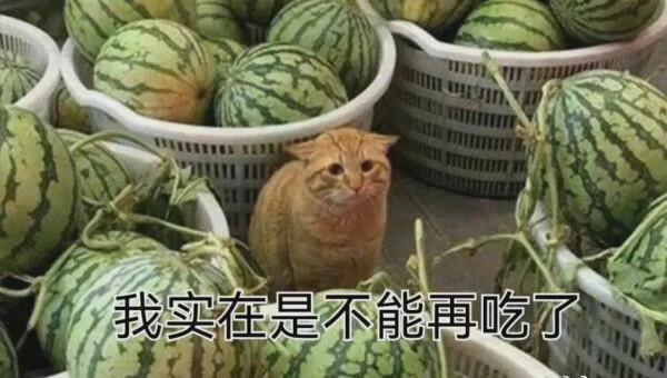 “基金跌了”又一次衝上熱搜！基金大跌後該做些什麼？