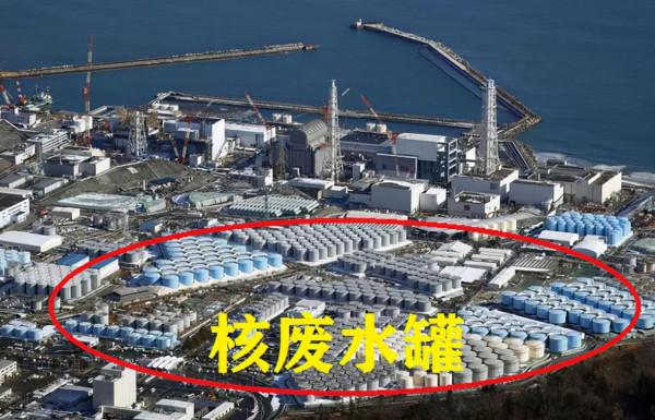 來來來,一起過來道個歉~~以工匠精神把造假和道歉繼續下去 來來來,一起過來道個歉~~以工匠精神把造假和道歉繼續下去