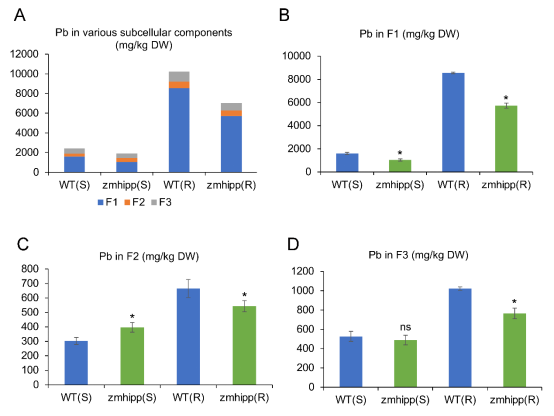 四川農業大學沈亞歐團隊在玉米鉛耐受性研究中取得新進展