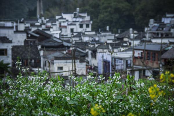 今年春節假期去哪兒？這些地方最中國