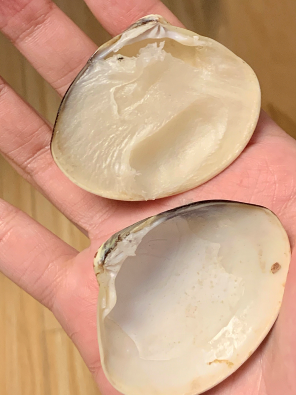 5款“看著想嫌棄,用著想稱讚”的老國貨!很醜卻很好用,太可惜 5款“看著想嫌棄,用著想稱讚”的老國貨!很醜卻很好用,太可惜