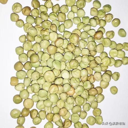 種菜哪些需用當年的種子，哪些要用隔年的種子？我告訴你答案