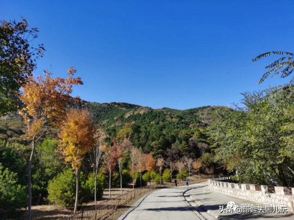 賞紅何必去郊區!北京西五環邊上的這座公園,紅葉正好 賞紅何必去郊區!北京西五環邊上的這座公園,紅葉正好