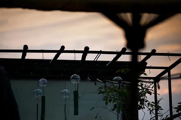 三國女諸葛：預言曹魏必亡，兩次拯救家族命運