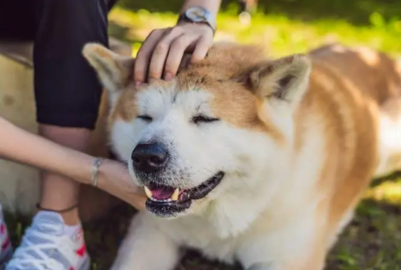5000年的歷史文化,有趣的事情又起止這些 5000年的歷史文化,有趣的事情又起止這些