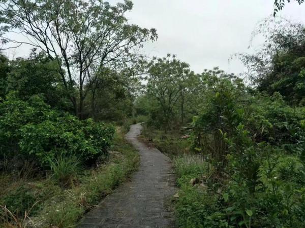 徒步時光——走進鹿寨中渡老鼠凹