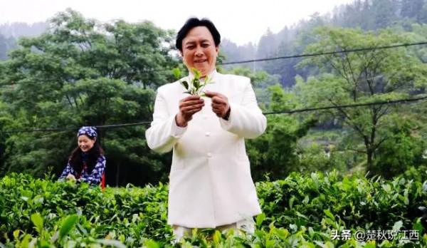 江西這款茶,有人說名字雖不算雅,但喝過一次就會愛上 江西這款茶,有人說名字雖不算雅,但喝過一次就會愛上