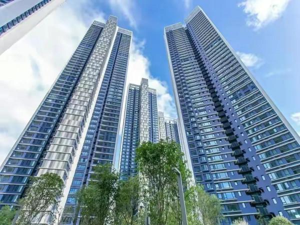 明年房價預測：社科院、易居看跌後市！關鍵是：買哪能對沖降準？