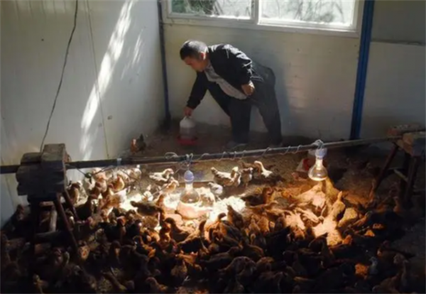 他身高1米2,結婚後幫2個弟弟娶媳婦,今一家10口住別墅不分家 他身高1米2,結婚後幫2個弟弟娶媳婦,今一家10口住別墅不分家