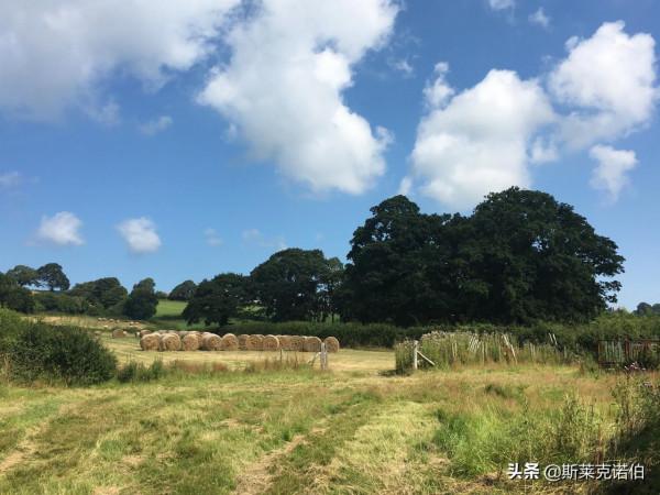 俯瞰山谷美景，體驗傳統威爾士農舍住宿（四）