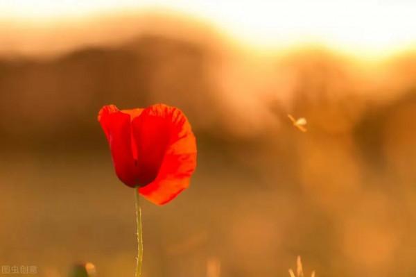 另一種得到快樂的方式