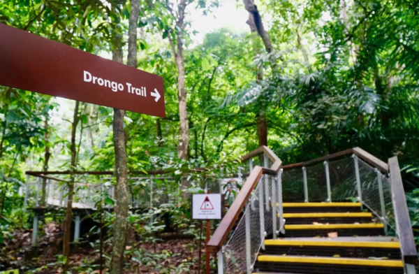 新加坡26條遠足路線:尋找長尾獼猴、紅毛丹種植園,眺望最美海峽 新加坡26條遠足路線:尋找長尾獼猴、紅毛丹種植園,眺望最美海峽