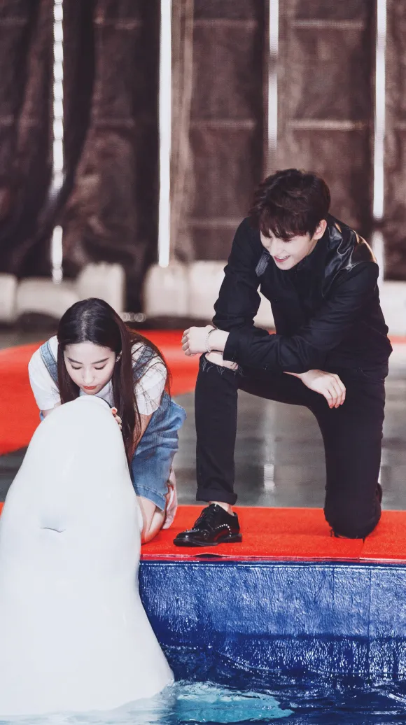 劇中CP｜楊洋劉亦菲三生三世