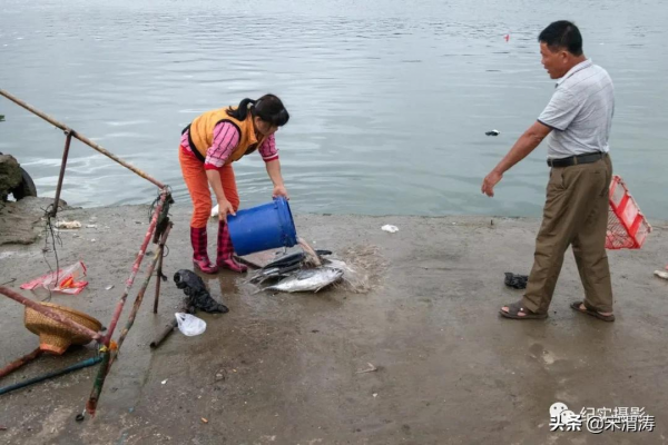 吳鍾飛：臘月漁鄉港北