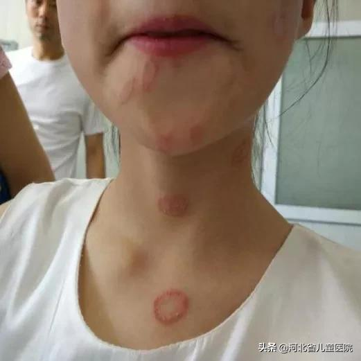 家裡有寵物嗎？沒有不需要看！