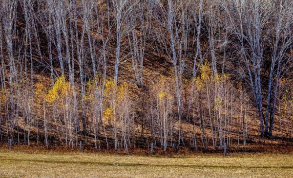 三天三季-我的烏蘭布統之旅-第五篇