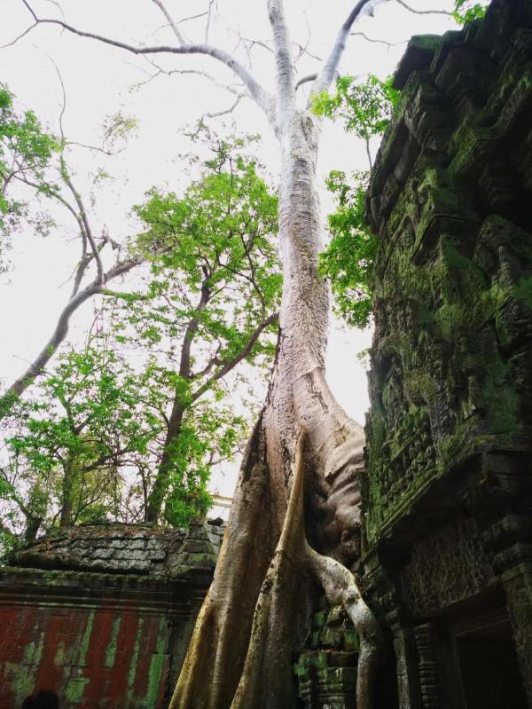 高棉的微笑很迷人，高棉的微笑很神秘，高棉微笑持續了千年（二）