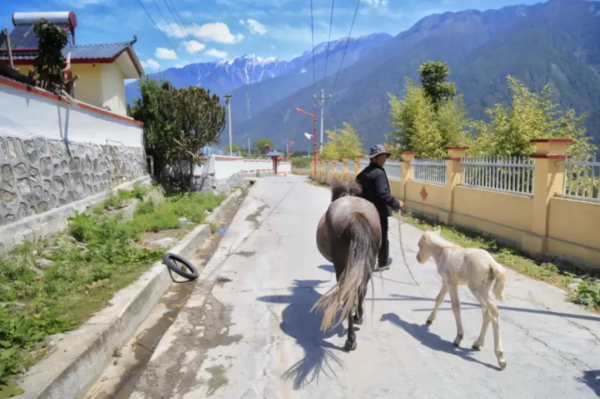 一聽見“邊境”，就忍不住想去