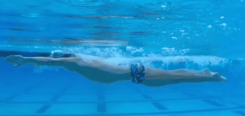 游泳技巧丨不克服這三個腿姿錯誤,你的蛙泳怎麼可能遊得快? 游泳技巧丨不克服這三個腿姿錯誤,你的蛙泳怎麼可能遊得快?