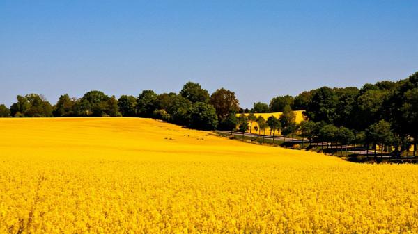 帶「舸」字古風俠氣的小男孩名字，可鹽可甜，可奶可仙