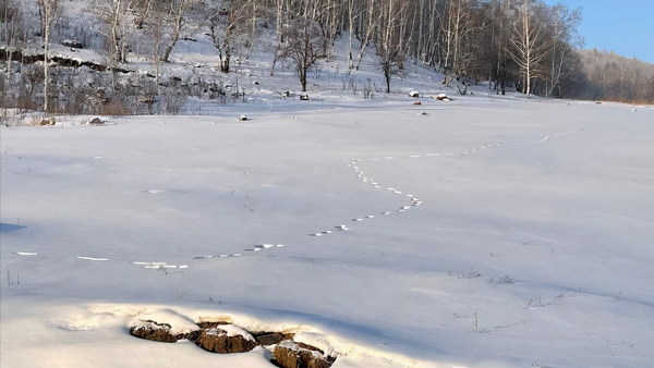 冬季旅遊遭遇失溫有多可怕,這3條避險原則要記住,學會入鄉隨俗 冬季旅遊遭遇失溫有多可怕,這3條避險原則要記住,學會入鄉隨俗