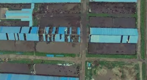 遼寧前首富楊凱:兩次硬剛國外做空機構,輝山暴跌卻因一次會議 遼寧前首富楊凱:兩次硬剛國外做空機構,輝山暴跌卻因一次會議