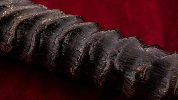 18世紀臥莫爾帝國匠人手工打造臥莫爾手杖 18世紀臥莫爾帝國匠人手工打造臥莫爾手杖