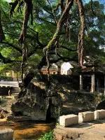 106張照片，美到眼睛移不開