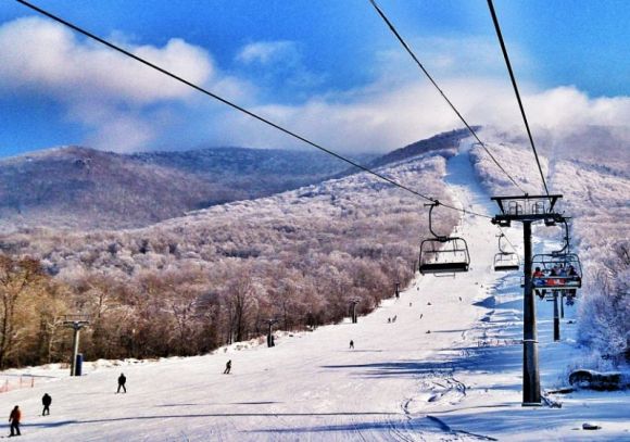 旅遊市場另類“啟用”:體育賽事週期推升出遊熱情 旅遊市場另類“啟用”:體育賽事週期推升出遊熱情