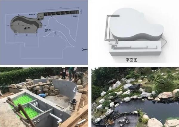 你的魚池過濾系統是否需要最佳化？