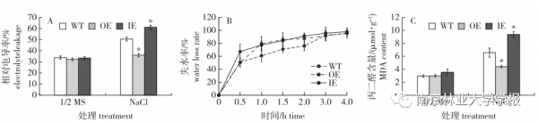 論文推薦 || 白樺BpGRAS1基因的克隆及耐鹽功能分析