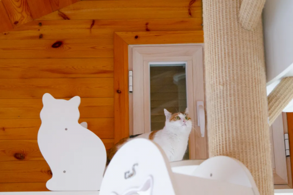 歲末大掃除，小米來監督