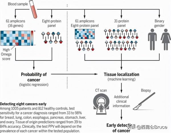 血液可以檢測癌症嗎？騙局主角被定罪！網友：一群天才被騙的故事