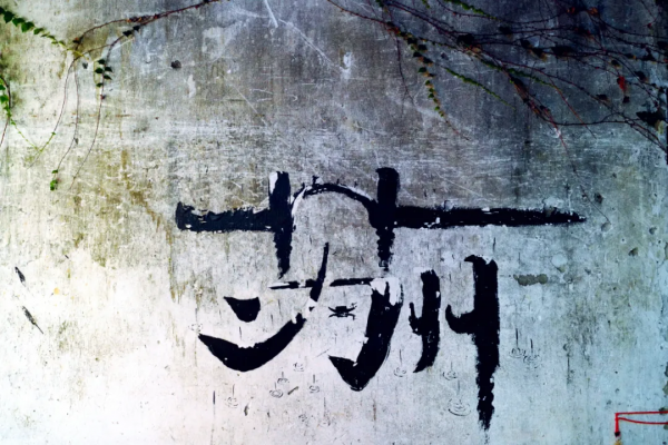 一次佛系的蘇州旅行 一次佛系的蘇州旅行