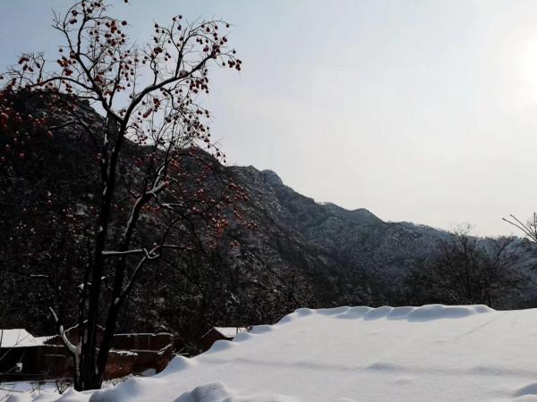 昌平龍山看雪(原創) 昌平龍山看雪(原創)