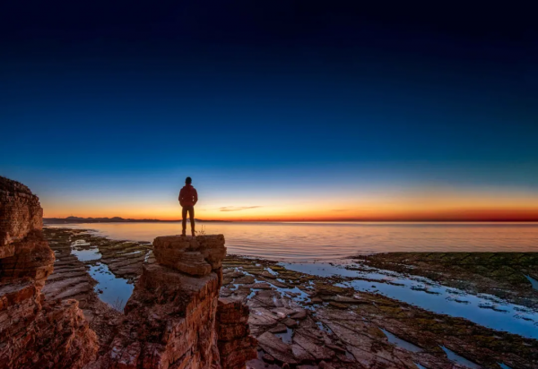 強者定律:金蟬定律,螞蟻定律,牛蠅定律,毛毛蟲定律,野馬定律 強者定律:金蟬定律,螞蟻定律,牛蠅定律,毛毛蟲定律,野馬定律