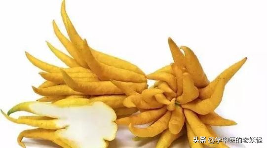 每日學習一味中藥——佛手