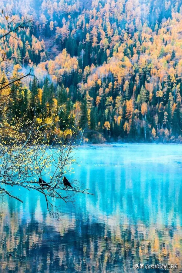 第一次去新疆怎麼玩！花了1個月總結出的保姆級攻略送上