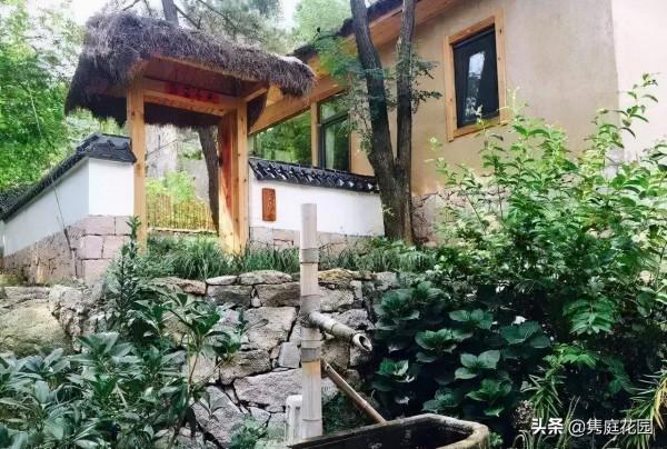 一個優雅的院子,都是養出來的 一個優雅的院子,都是養出來的