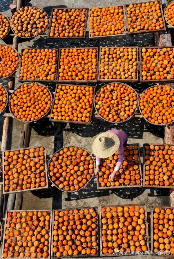 557億斤！5個第一！3個第二！水果大省廣西，到底有多“豪”？