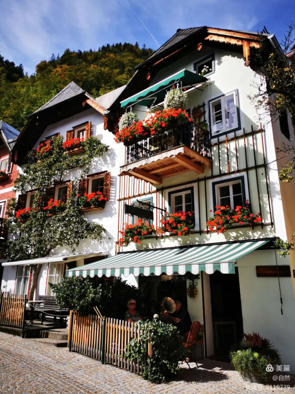 東北花友走遍歐洲著名花園,回國後建了座四季有花的北方花園 東北花友走遍歐洲著名花園,回國後建了座四季有花的北方花園