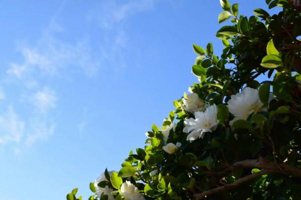 「星座天眼12月6日」射手座Sagittarius