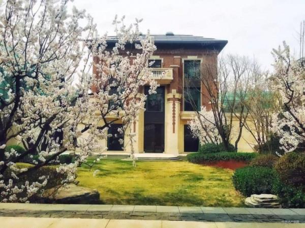 商墅和別墅的區別在哪？如何區分？