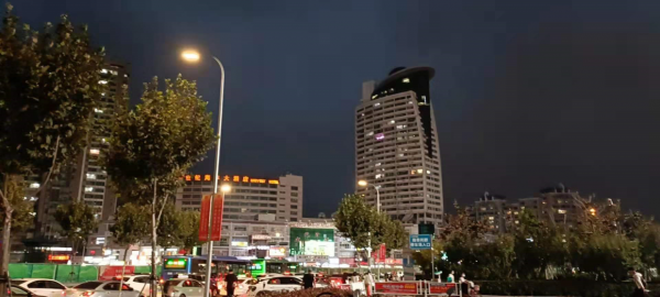 辭職買個小院養花，看著是神仙生活，這種日子太枯燥