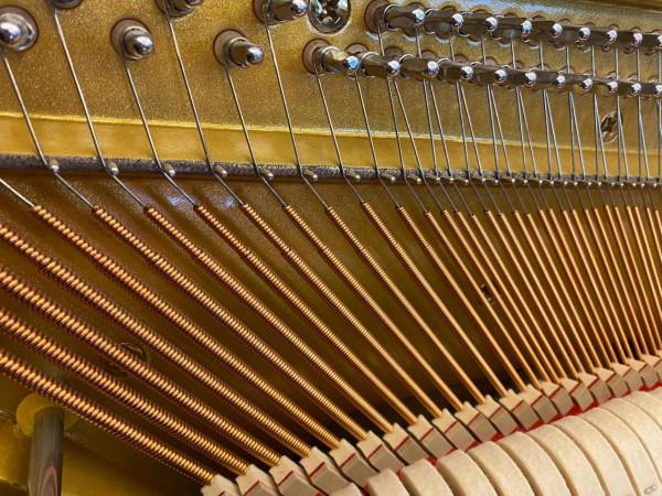 選購鋼琴應該從哪幾方面入手