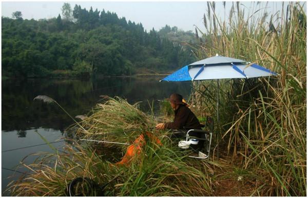 冬季野釣,你得會釣草,這三個有草的位置,草底下都是魚 冬季野釣,你得會釣草,這三個有草的位置,草底下都是魚