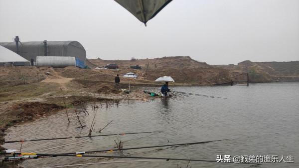 初春野釣鯽魚：深度分析，4種風向3種天氣，尋找最佳出釣時機