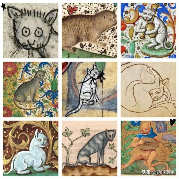 看了我太太太爺爺畫的貓後…網友:同一個物種 看了我太太太爺爺畫的貓後…網友:同一個物種