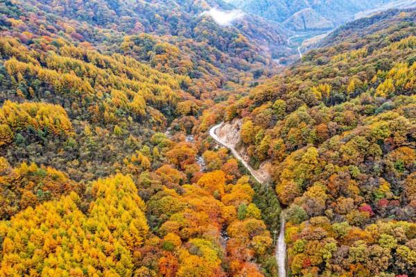 秘境南壩溝——四川光霧山 秘境南壩溝——四川光霧山