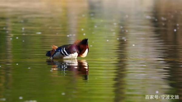 江北~隱藏著你嚮往的詩和遠方... 江北~隱藏著你嚮往的詩和遠方...